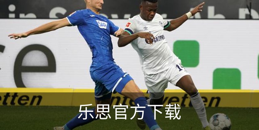 乐思官方下载简介